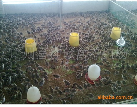 生态环境法典有哪些看点？将如何影响你我的生活？(图1)