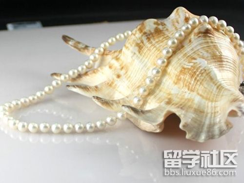 比菲律宾更恶劣越南在南海疯狂填岛没想到竟帮了中国大忙！(图1)