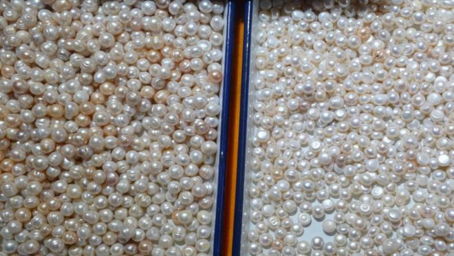 几十块钱现场杀蚌取珠取出来的珍珠是真的吗？别被小商贩忽悠了(图5)