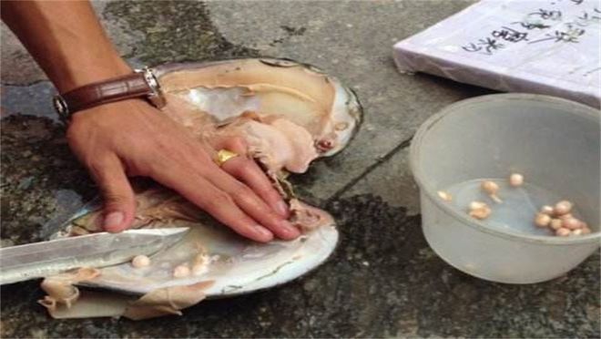 几十块钱现场杀蚌取珠取出来的珍珠是真的吗？别被小商贩忽悠了(图4)