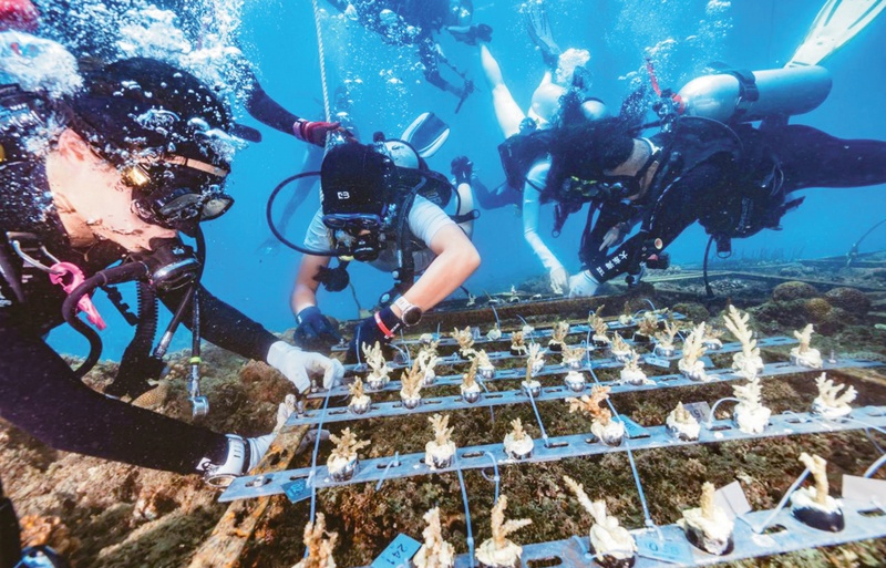 向海洋要生产力和增长点(图2)