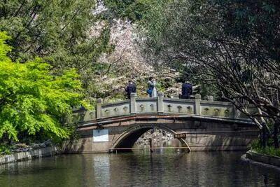 楼市聚焦 万科中兴傲舍官方售楼处发布:中興傲舍以品质铸就传奇(图39)