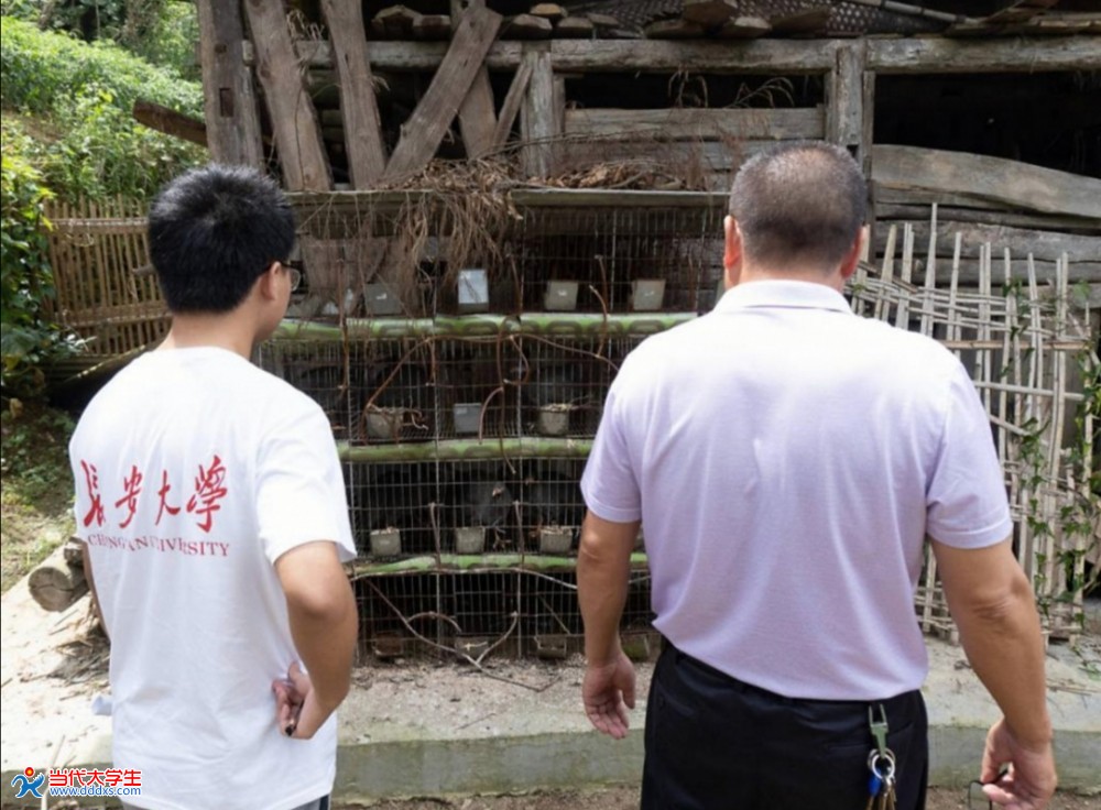 珍珠鱼怎么养-百度经验(图1)