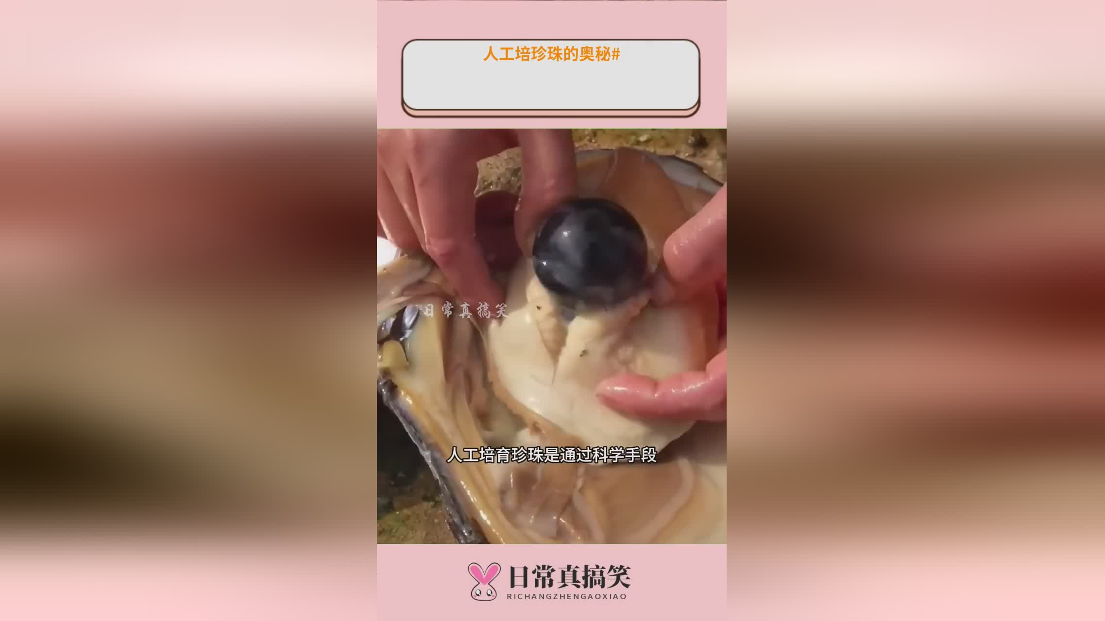 太黑了！315晚会后最先塌房的不是奶茶也不是辣条而是鸡蛋(图1)