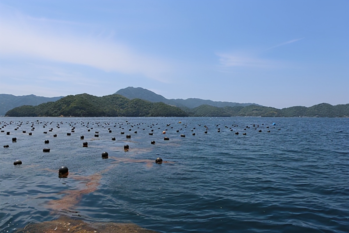 平安福建宣传月｜蕉城检察：以法治之笔绘就山海安宁画卷(图1)