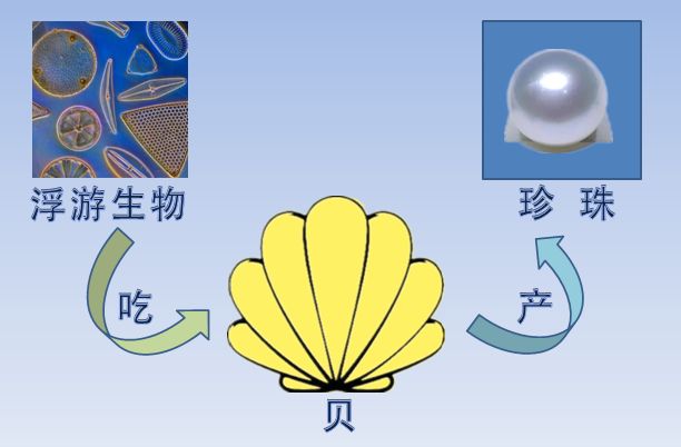 为啥核电站的副业是养珍珠?(图4)