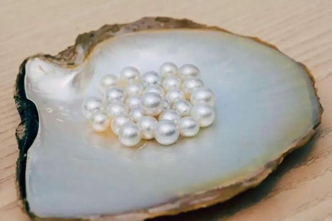 为啥核电站的副业是养珍珠?(图1)
