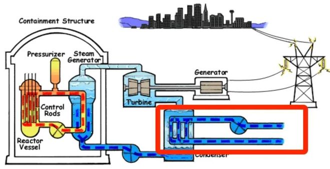 为啥核电站的副业是养珍珠?(图5)