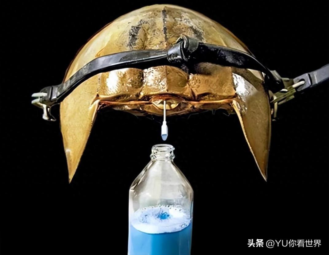 全球最贵的 10 种液体：一滴价值 4400 万美元比黄金贵 34万倍(图1)