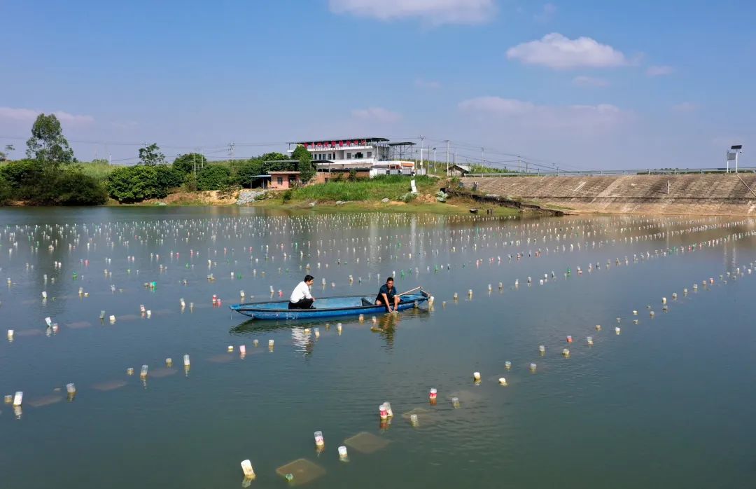 南坪片区老旧小区改造稳步推进 惠及居民超6200户(图1)