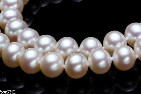 《加勒比中餐发展报告（2026）》暨“世界中餐榜中榜加勒比指数”发布(图1)