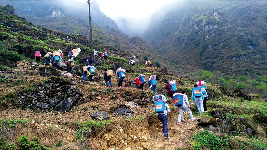 观云台 这里的图书馆装进背篼就会跑(图1)