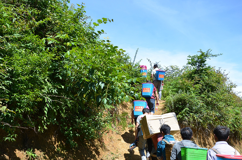 观云台 这里的图书馆装进背篼就会跑(图4)