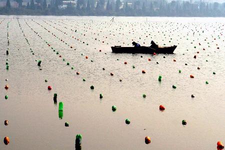 叶梅生态散文集《能不忆江南》：笔墨间勾勒浙江大地万千气象(图1)