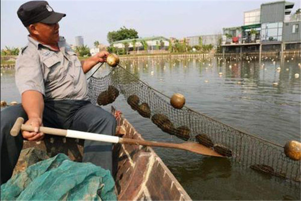 河南特色产业吸睛 撑起乡村振兴新颜值(图1)