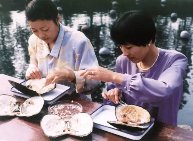 大洗牌？！甲鱼从业者预言：30%会被淘汰2027行情有望回暖！｜甲鱼产业调研②(图1)