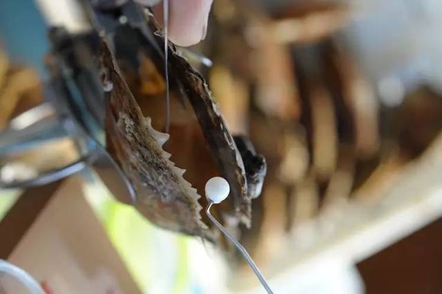 2026广州技能提升补贴申报指南(图1)