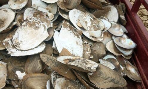 【预告】“向美而行”一周一览（4月27日-5月3日）：身心同养雅韵生香(图1)