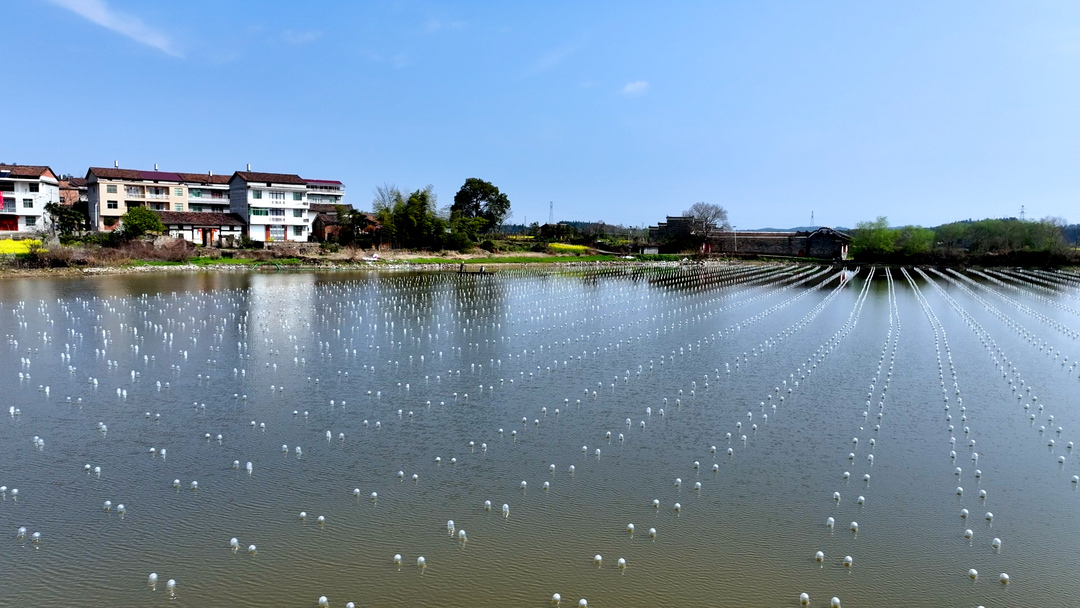 联发金海雲墅(售楼处) 官网 -联发金海雲墅售楼中心 - 环境 户型价格地址楼盘详情配套电话交房时间配套电话交房时间(图1)