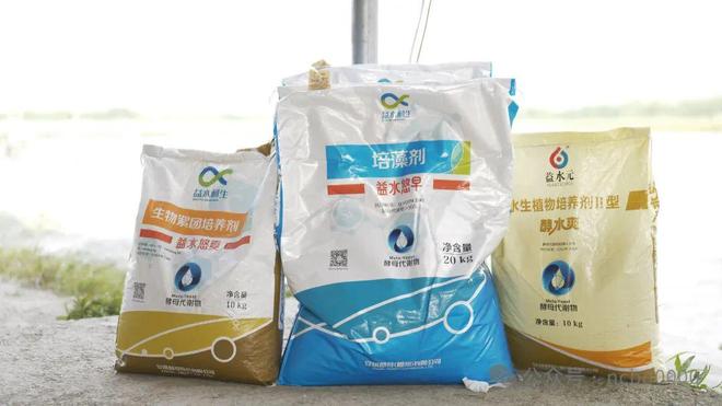 鱼蚌混养300亩产值超千万？诸暨“珍珠王子”带你探秘500亿级珍珠产业(图4)