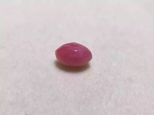 袁隆平科学园种出“绿珍珠”(图1)