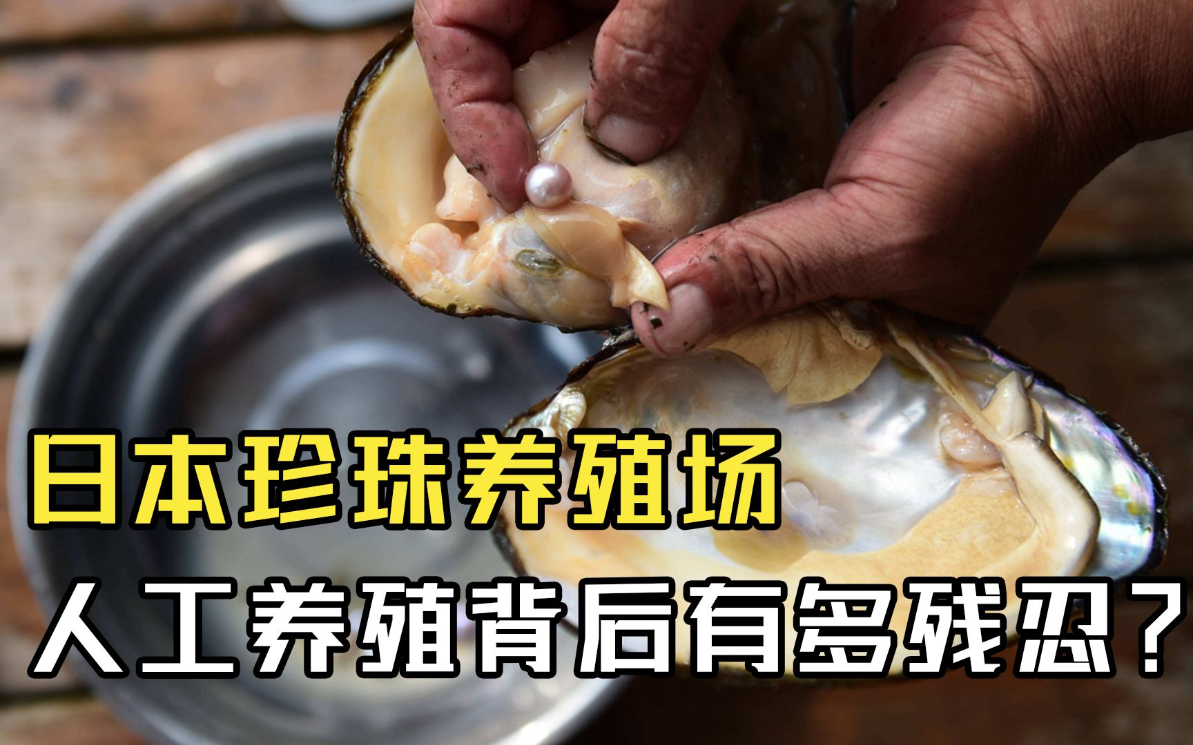 中海云邸玖章官方售楼处｜2026512中海云邸玖章服务全新升级-官方统一接待-免费预约深度楼盘解析(图1)