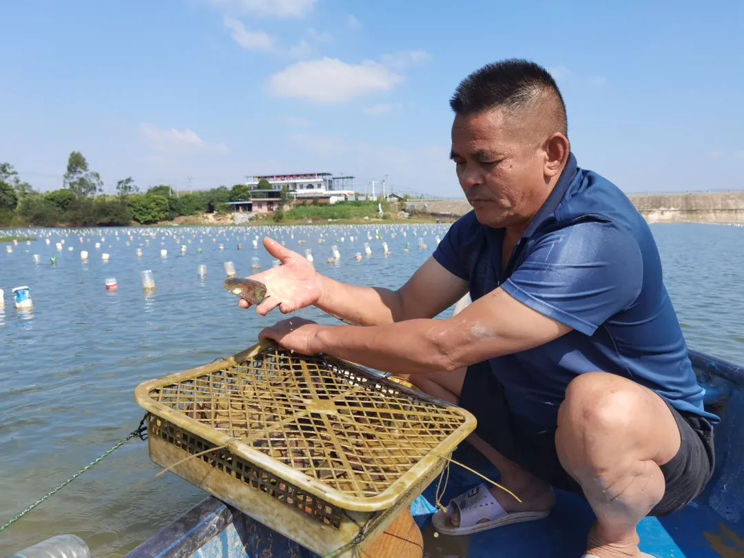 持续改善环境质量让蓝天碧水成为生活日常(图1)