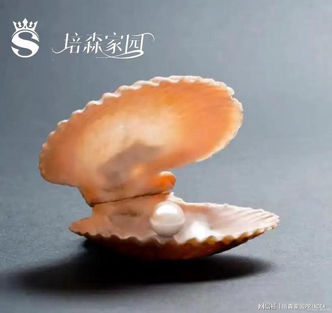 揭秘!蚌壳里的珍珠诞生记(图1)