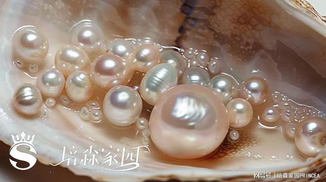 揭秘!蚌壳里的珍珠诞生记(图3)