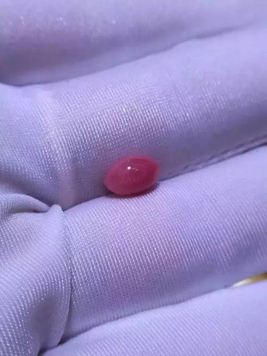 好山好水育“仙珍”(图1)