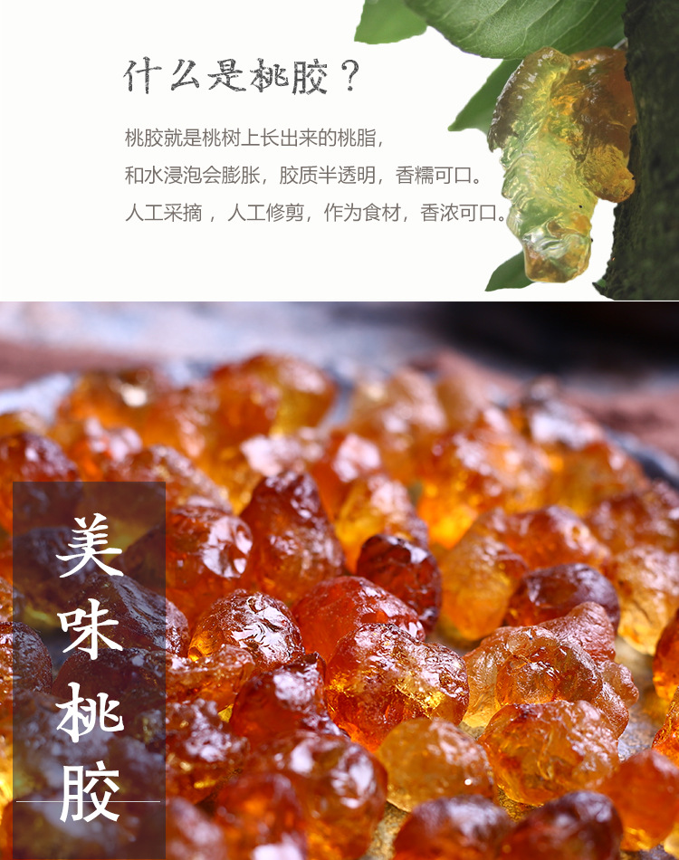 探秘海洋逐梦深蓝——胶州市海洋科普进校园活动圆满落幕(图1)