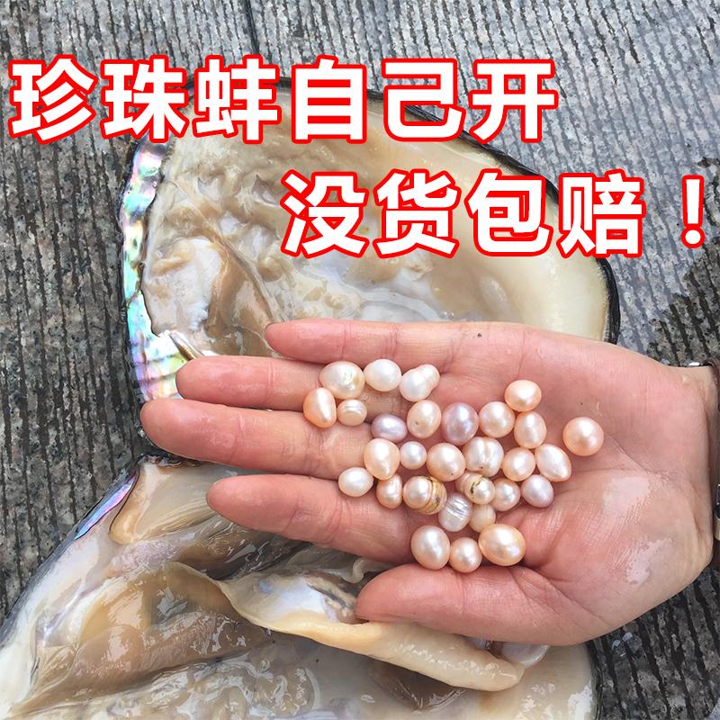 从三个“全国第一”到未来农业发展的“安丘范式”(图1)