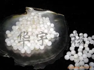 习近平总书记视频报道(图1)